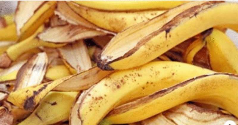 19 интересных способов применения банановой кожуры