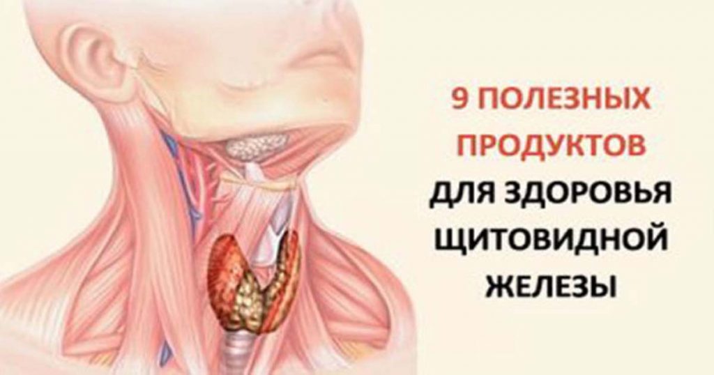 Девять продуктов полезных для щитовидной железы